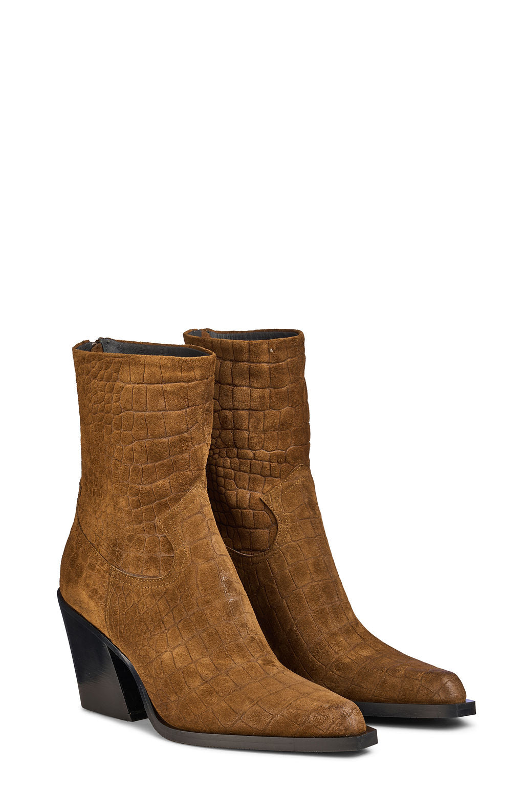 Cocco Roma Bulldog - vista 2
